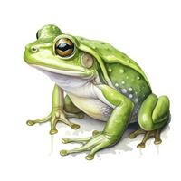 ai généré aquarelle vert grenouille sur blanc Contexte. ai généré photo