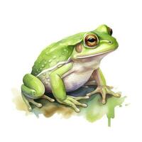 ai généré aquarelle vert grenouille sur blanc Contexte. ai généré photo