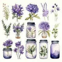 ai généré collection de aquarelle le maçon pots avec violet fleurs clipart. ai généré photo