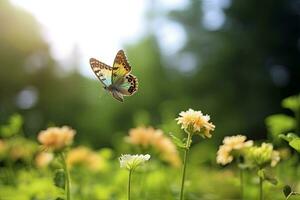 ai généré papillon en volant plus de le prairie. ai généré photo