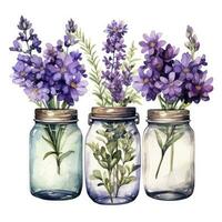 ai généré collection de aquarelle le maçon pots avec violet fleurs clipart. ai généré photo