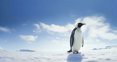 ai généré manchot permanent dans Antarctique à la recherche dans le bleu ciel. ai généré photo