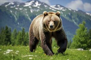 ai généré marron ours en mouvement sur le vert Prairie dans printemps la nature. ai généré photo