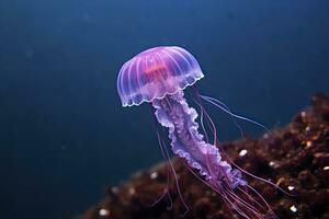 ai généré mauve aiguillon violet méduse. ai généré. photo