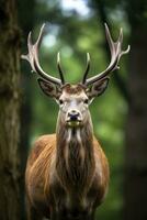 ai généré proche en haut de rouge cerf cerf. ai généré photo