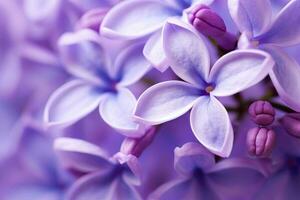 ai généré lilas fleur macro Contexte avec copie espace. ai généré photo