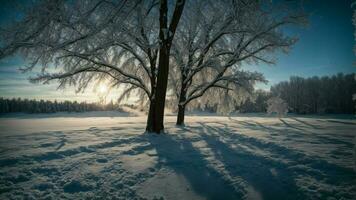 ai généré représenter le magique atmosphère établi par clair de lune filtration par le branches de hiver des arbres, moulage longue ombres sur le couvert de neige sol et éclairant le gel photo