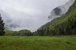 pré vert en premier plan et montagne avec forêt, nuages et brouillard en arrière-plan photo