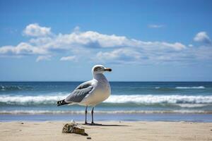 ai généré mouette sur le plage en dessous de bleu ciel. photo