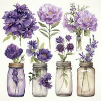 ai généré collection de aquarelle le maçon pots avec violet fleurs clipart. ai généré photo