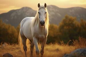 ai généré blanc cheval ou jument dans le montagnes à le coucher du soleil. ai généré photo