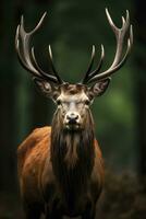 ai généré proche en haut de rouge cerf cerf. ai généré photo