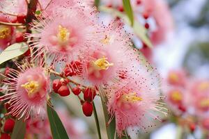 ai généré magnifique gencive arbre rose fleurs et bourgeons. ai généré photo