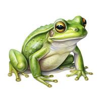 ai généré aquarelle vert grenouille sur blanc Contexte. ai généré photo