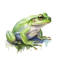 ai généré aquarelle vert grenouille sur blanc Contexte. ai généré photo