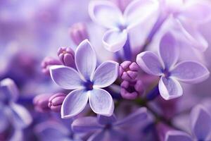 ai généré lilas fleur macro Contexte avec copie espace. ai généré photo