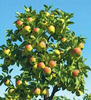 ai généré une magnifique vert Pomme arbre. ai généré photo