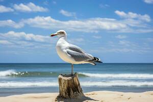 ai généré mouette sur le plage en dessous de bleu ciel. photo