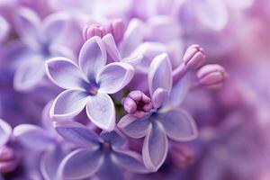 ai généré lilas fleur macro Contexte avec copie espace. ai généré photo