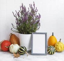 cadre photo et décor de citrouille sur la table sur fond de carreaux blancs.