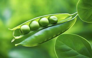 ai généré proche en haut de pois dans pois cosse. ai généré photo