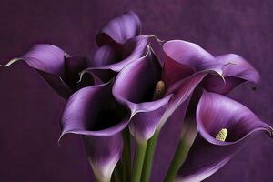 ai généré bouquet de violet calla fleurs de lys contre violet fond.ai généré photo