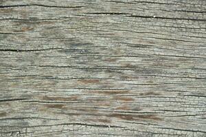 proche en haut bois table texture. photo