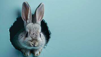 ai généré adorable Pâques lapin avec Pâques œufs, coloré Pâques œufs, bannière et fond d'écran photo