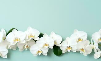 ai généré blanc orchidées sur turquoise Contexte. brillant nettoyer image mettant en valeur rangée de épanouissement blanc orchidées contre turquoise toile de fond. parfait pour bien-être et beauté contextes. bannière photo