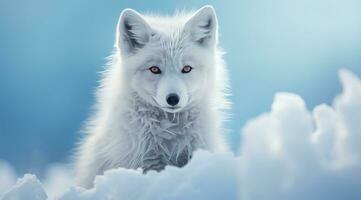 ai généré la glace Renard sur hiver neige photo