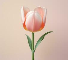 ai généré un image de une blanc et rose tulipe sur blanc Contexte avec une lumière rose arrière-plan, photo