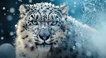 ai généré neige léopard, Asie fonds d'écran, photo