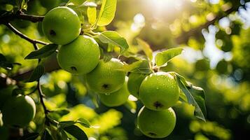 ai généré Frais vert Pomme sur le champ avec lumière exposition photo