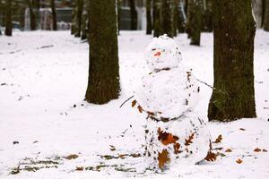 vieux sale bonhomme de neige avec carotte nez couvert dans déchue marron feuilles permanent entre le des arbres photo