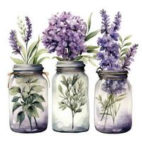 ai généré collection de aquarelle le maçon pots avec violet fleurs clipart. ai généré photo