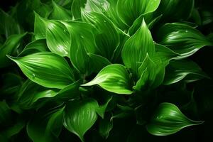 ai généré éthéré feuillage le enchanteur vue de vert feuilles pris dans milieu vol ai généré photo