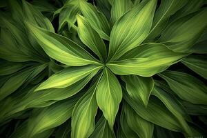 ai généré une plante avec beaucoup de grand vert feuilles. ai généré photo