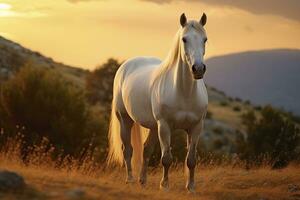 ai généré blanc cheval ou jument dans le montagnes à le coucher du soleil. ai généré photo