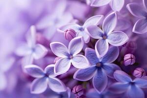 ai généré lilas fleur macro Contexte avec copie espace. ai généré photo