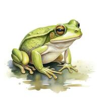 ai généré aquarelle vert grenouille sur blanc Contexte. ai généré photo