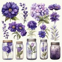 ai généré collection de aquarelle le maçon pots avec violet fleurs clipart. ai généré photo