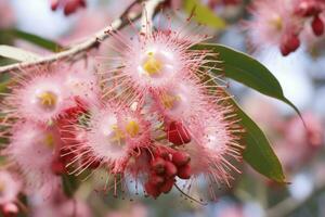 ai généré magnifique gencive arbre rose fleurs et bourgeons. ai généré photo