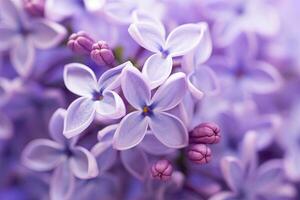 ai généré lilas fleur macro Contexte avec copie espace. ai généré photo