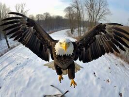 ai généré américain chauve Aigle dans le la nature Contexte photo