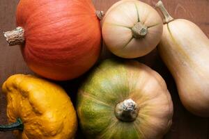 variété de courges sur une tableau, butternut, pattypan, citrouille photo