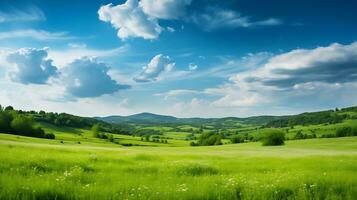 ai généré paysage photo de une vert floraison Prairie sur une ensoleillé été journée