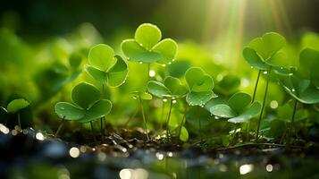 ai généré trèfle champ, feuilles fermer, l'eau gouttes, bokeh et lumière du soleil dans le Contexte. Saint Patrick c'est journée photo