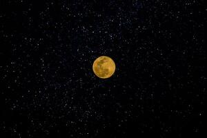 plein lune dans micro lune nuit. photo