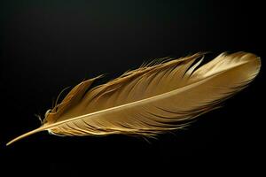ai généré élégant modèle d'or plumes sur noir arrière-plan, mode et beauté photo