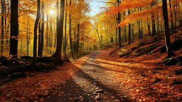 ai généré feuilles tempéré à feuilles caduques forêt photo